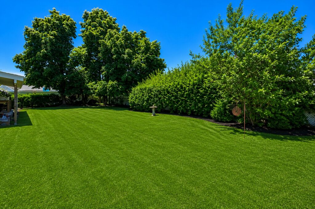 Sunny backyard with lush greenery Sunny backyard with lush greenery