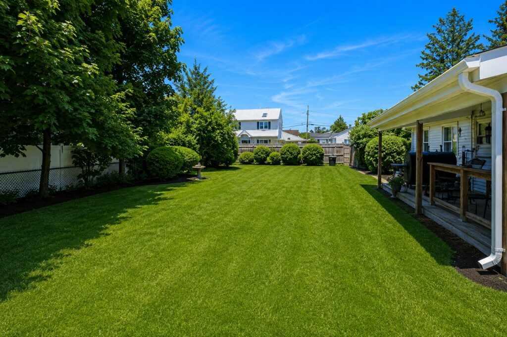 Sunny suburban backyard oasis Sunny suburban backyard oasis