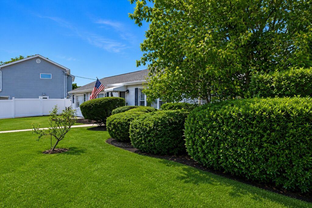 Sunny suburban front yard scene Sunny suburban front yard scene